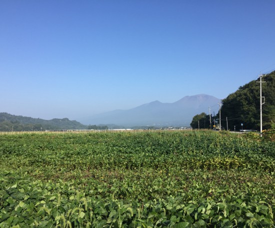 白ほたる豆腐店 自家農園について